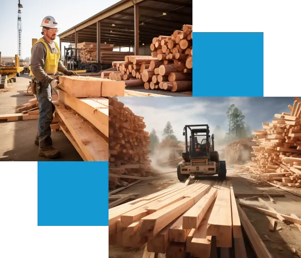 Lumber Cost Estimators in Florida