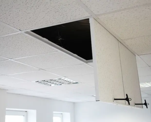 Celling access panels