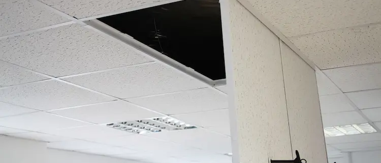 Celling access panels